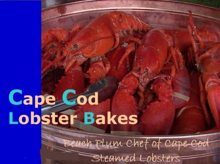Beach Plum Chef Steamed Lobsters