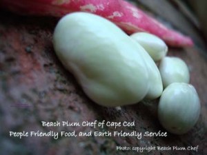 Beach Plum Chef Personal Chef of Cape Cod